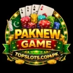 PAKNEW Game casino style logo with gold lettering poker chips dice and Pakistani theme on a black background with topslots.com.pk.