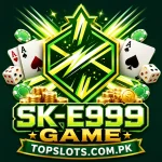 SK E999 Game
