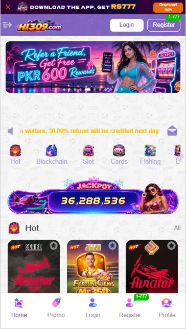 HI 309 Game