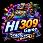HI 309 Game